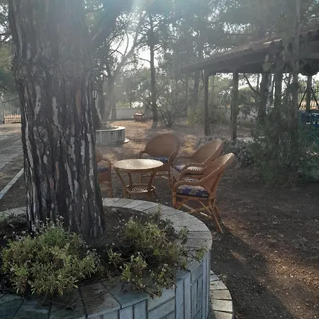 Costa Mama فيلة